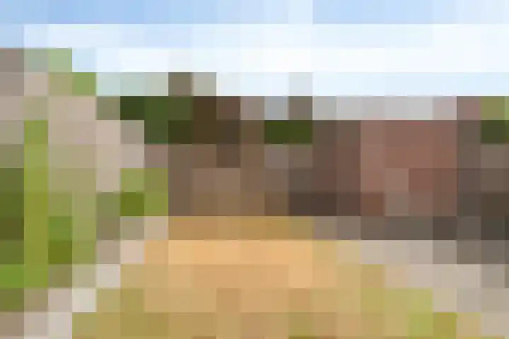 Bellinistraat 14 Hulst thumbnail 26