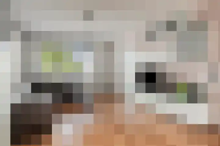 Bellinistraat 14 Hulst thumbnail 4