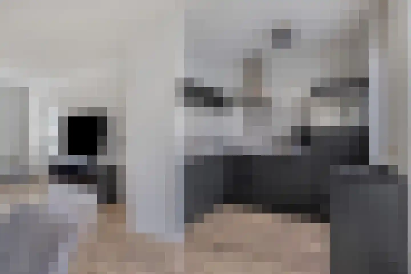 Bellinistraat 14 Hulst thumbnail 7