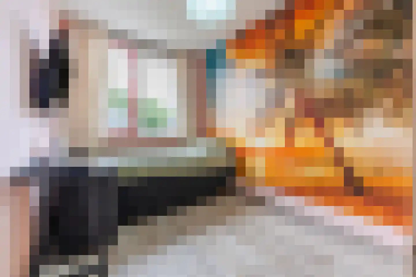 Bellinistraat 191 Tilburg thumbnail 10