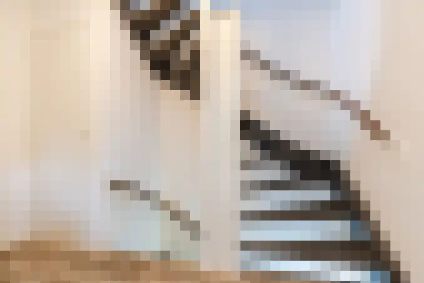 Bellinistraat 191 Tilburg thumbnail 11