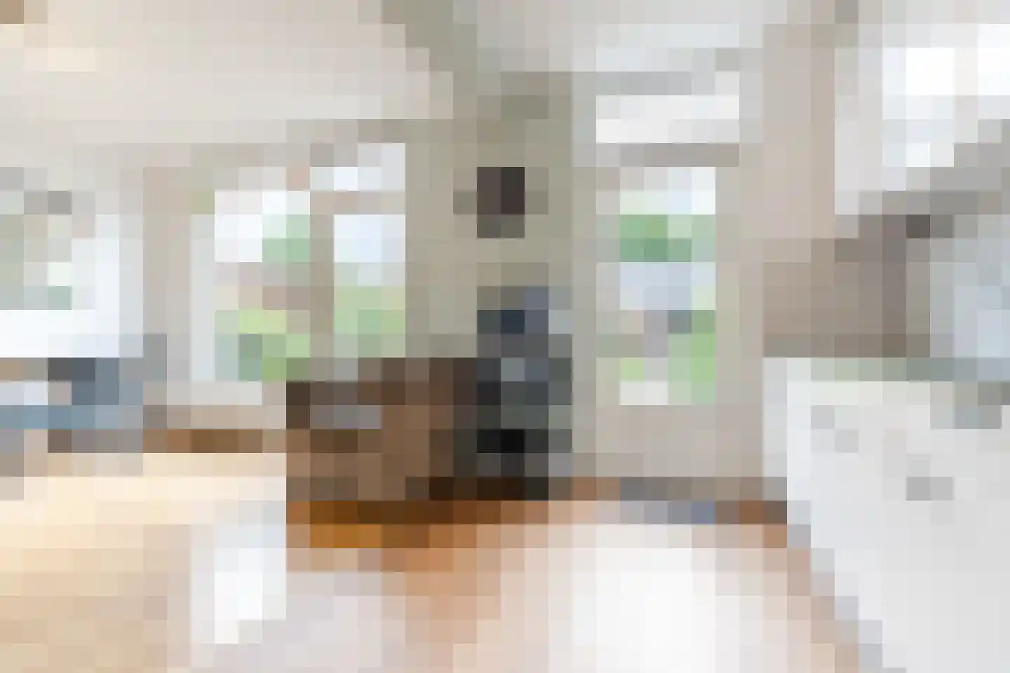 Bellinistraat 191 Tilburg thumbnail 19