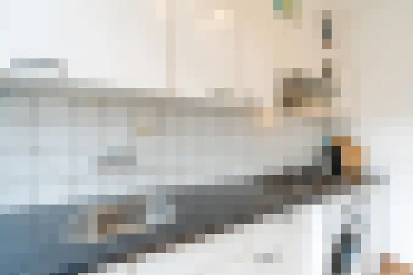 Bellinistraat 191 Tilburg thumbnail 21