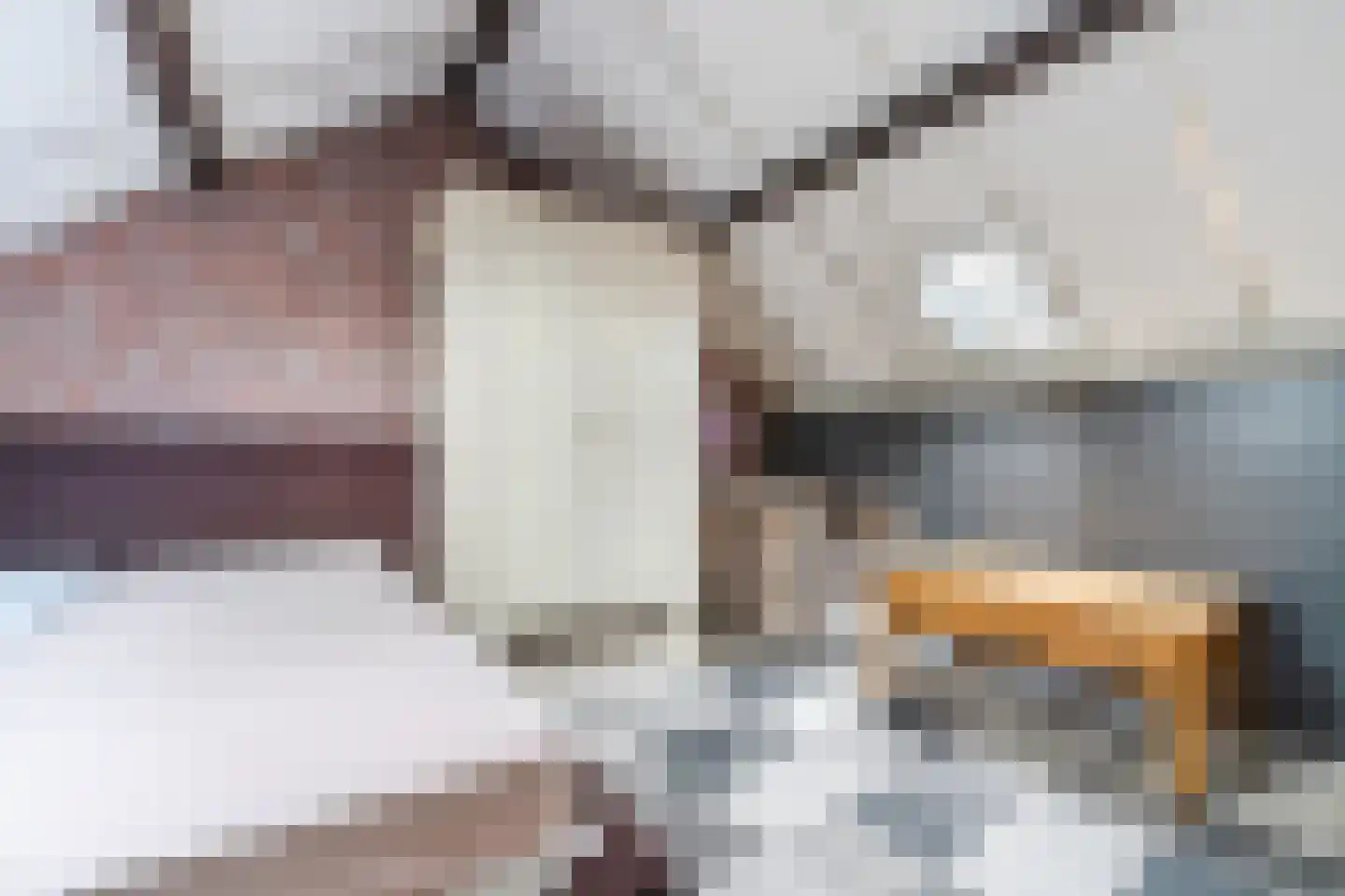 Bellinistraat 191 Tilburg thumbnail 37