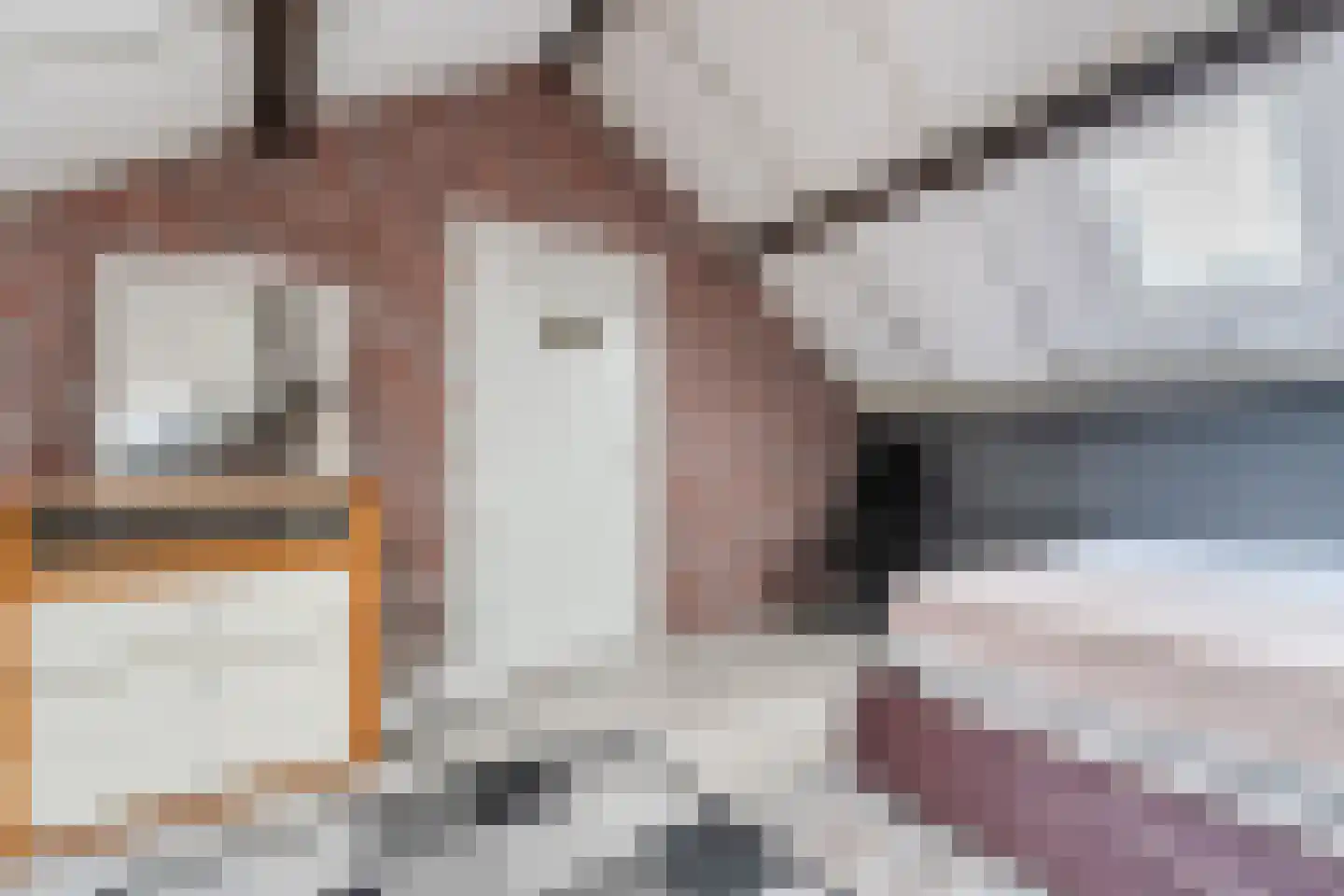 Bellinistraat 191 Tilburg thumbnail 39