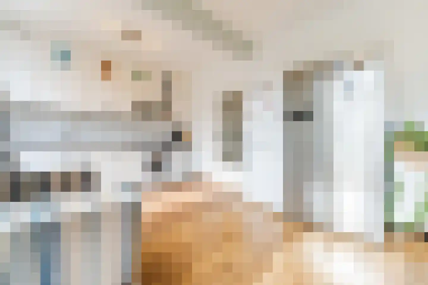 Bellinistraat 191 Tilburg thumbnail 7