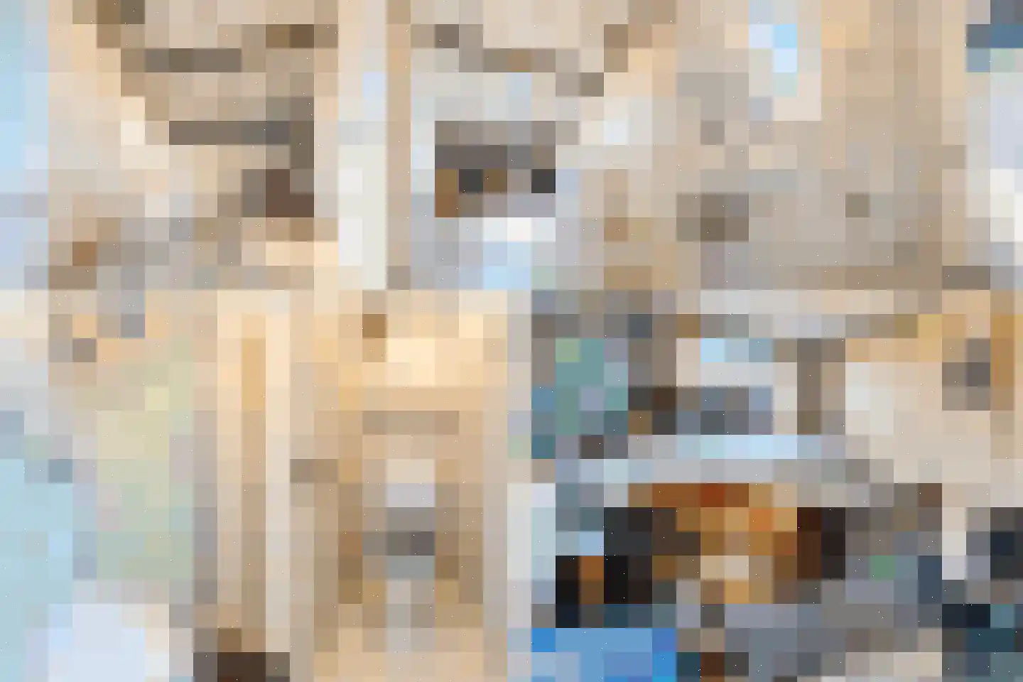 Bellinistraat 191 Tilburg thumbnail 8