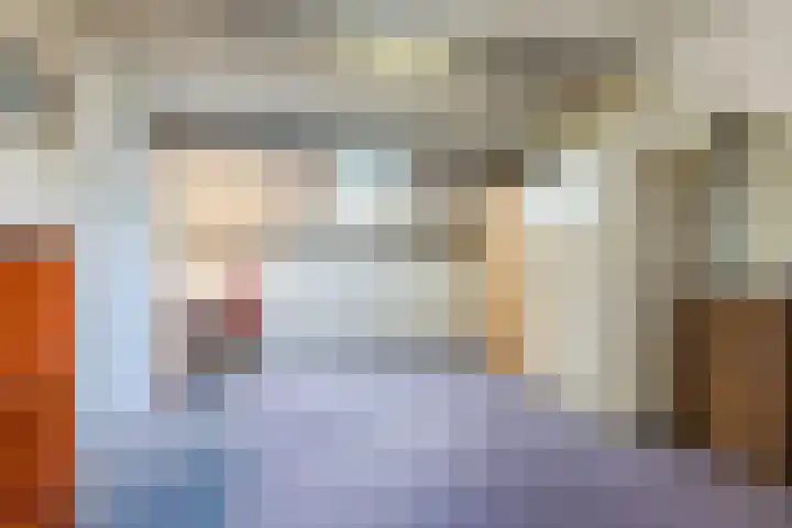 Bellinistraat 247 Tilburg thumbnail 22