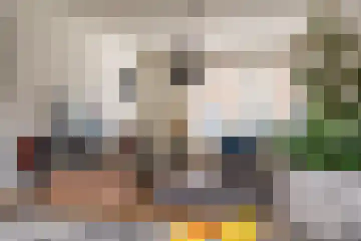 Bellinistraat 35 Tilburg thumbnail 15