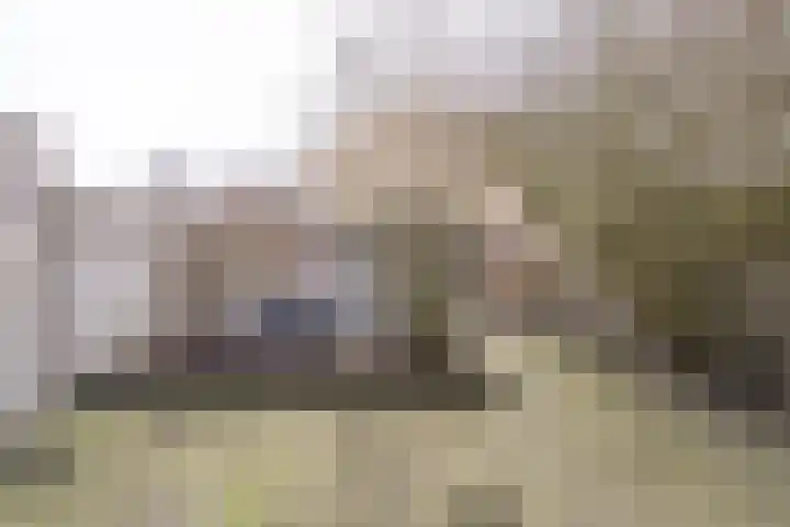 Bellinistraat 35 Tilburg thumbnail 35