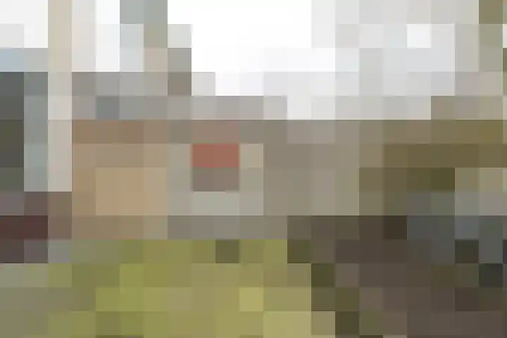 Bellinistraat 35 Tilburg thumbnail 36