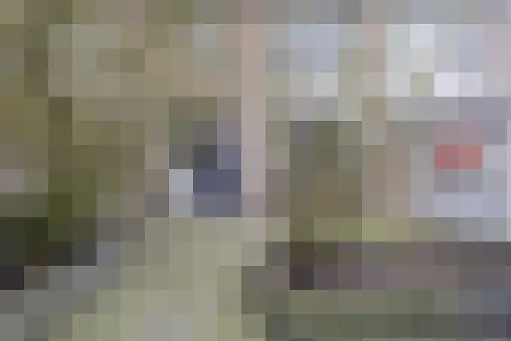 Bellinistraat 35 Tilburg thumbnail 37