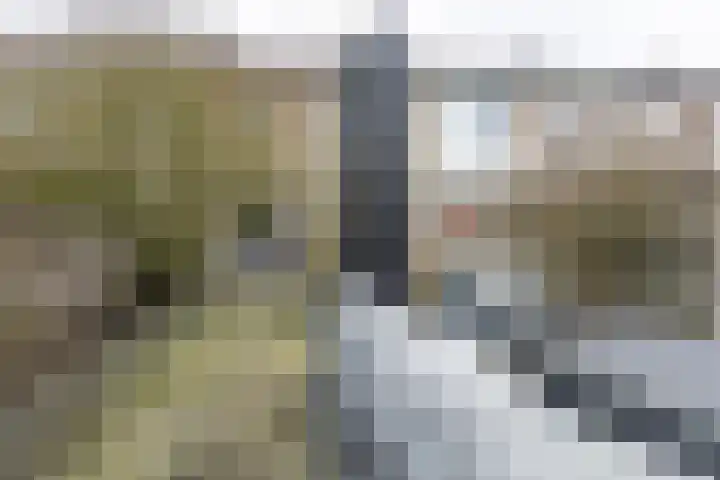Bellinistraat 35 Tilburg thumbnail 38