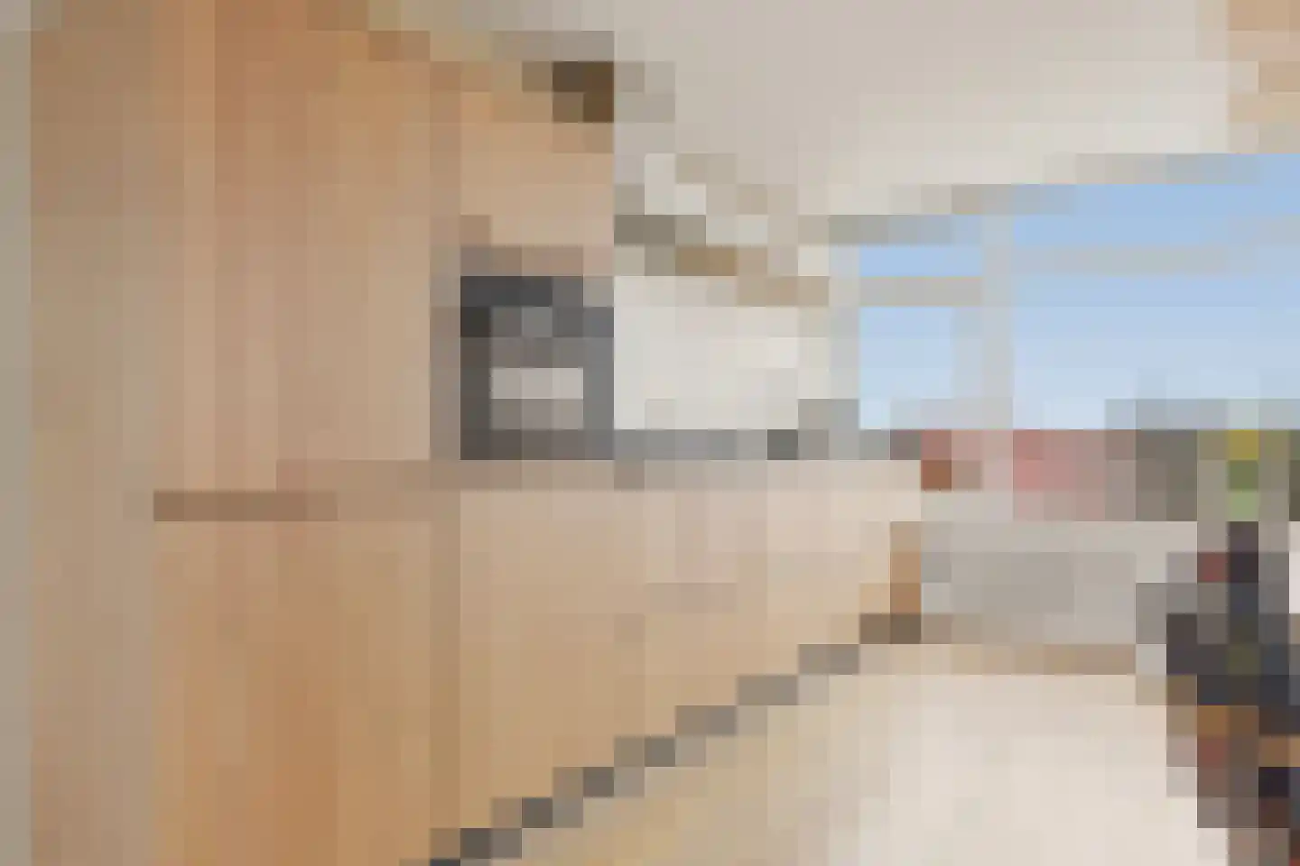 Bellinistraat 40 Heemskerk thumbnail 16