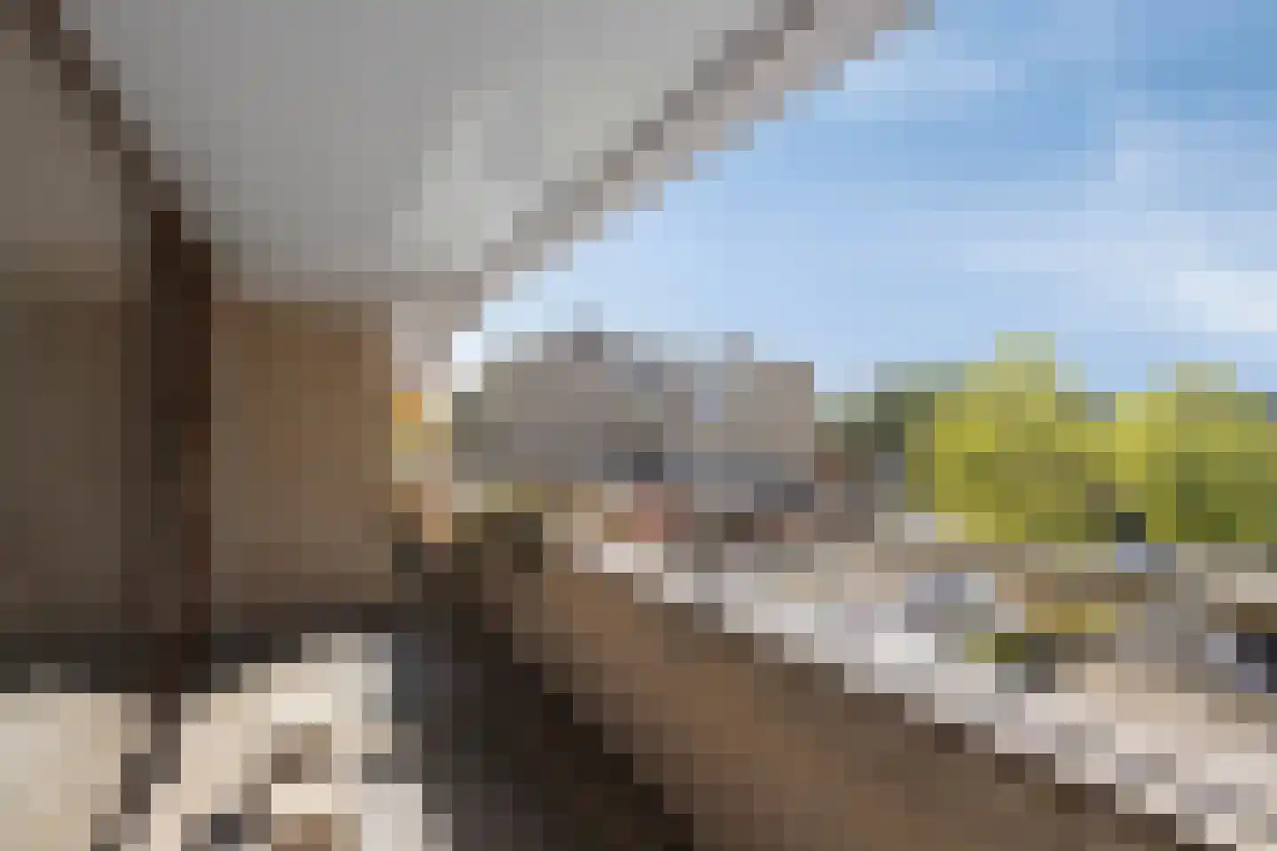 Bellinistraat 55 Alkmaar thumbnail 11