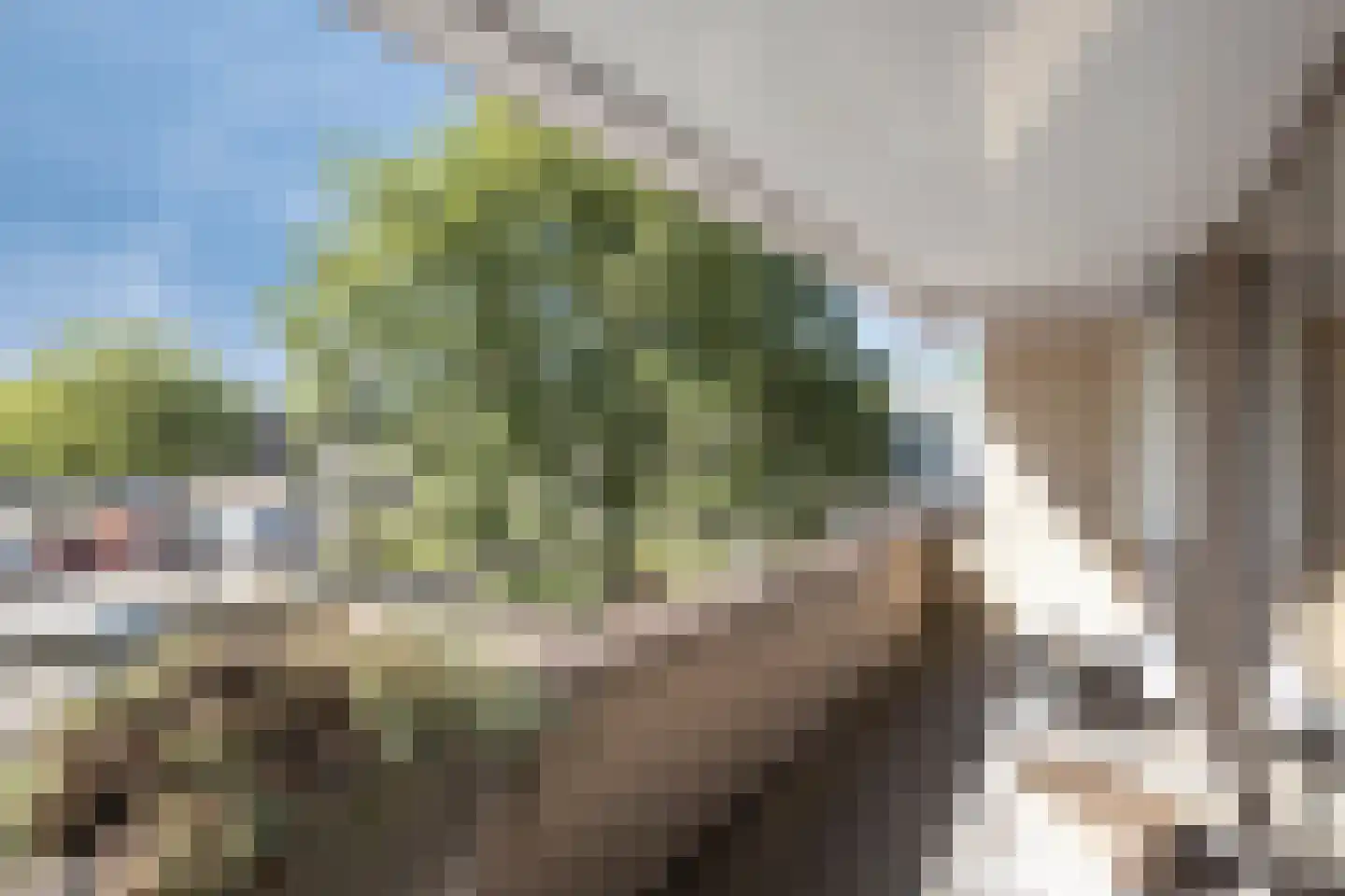 Bellinistraat 55 Alkmaar thumbnail 13
