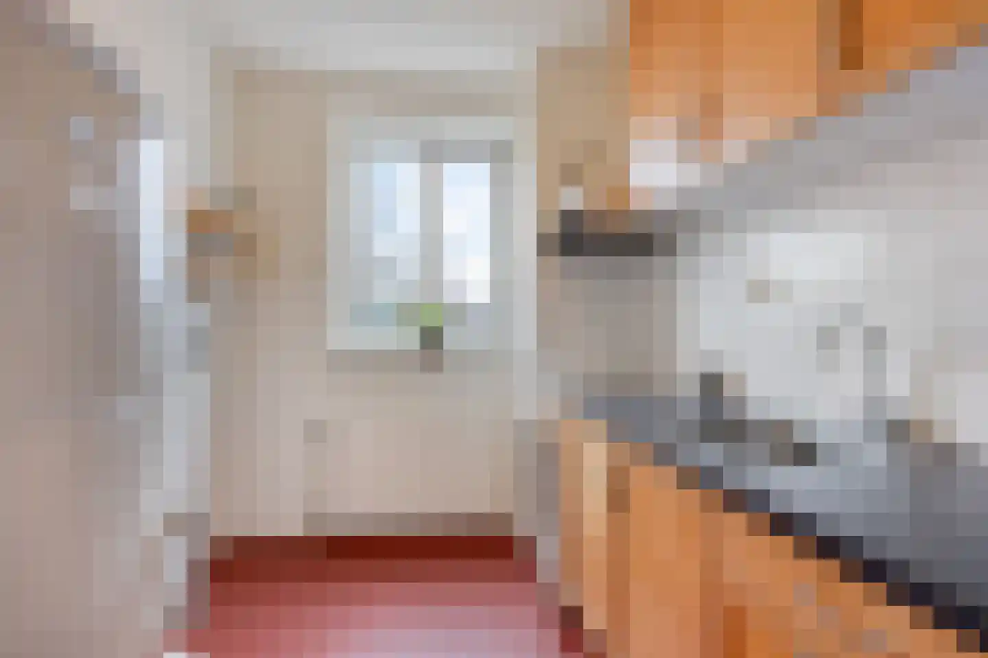 Bellinistraat 55 Alkmaar thumbnail 16