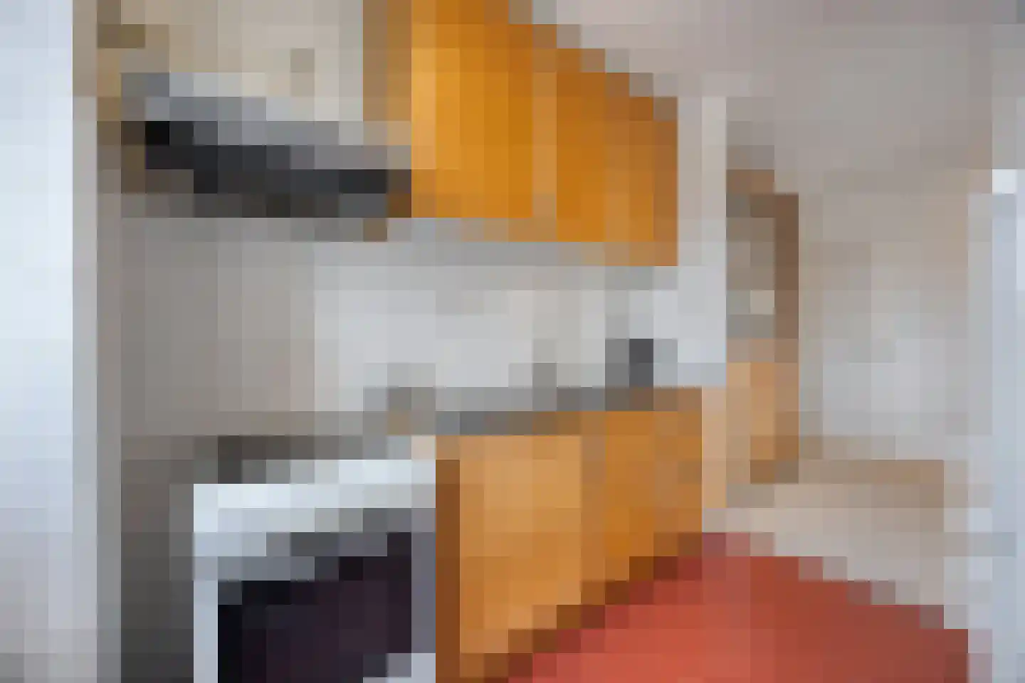 Bellinistraat 55 Alkmaar thumbnail 17
