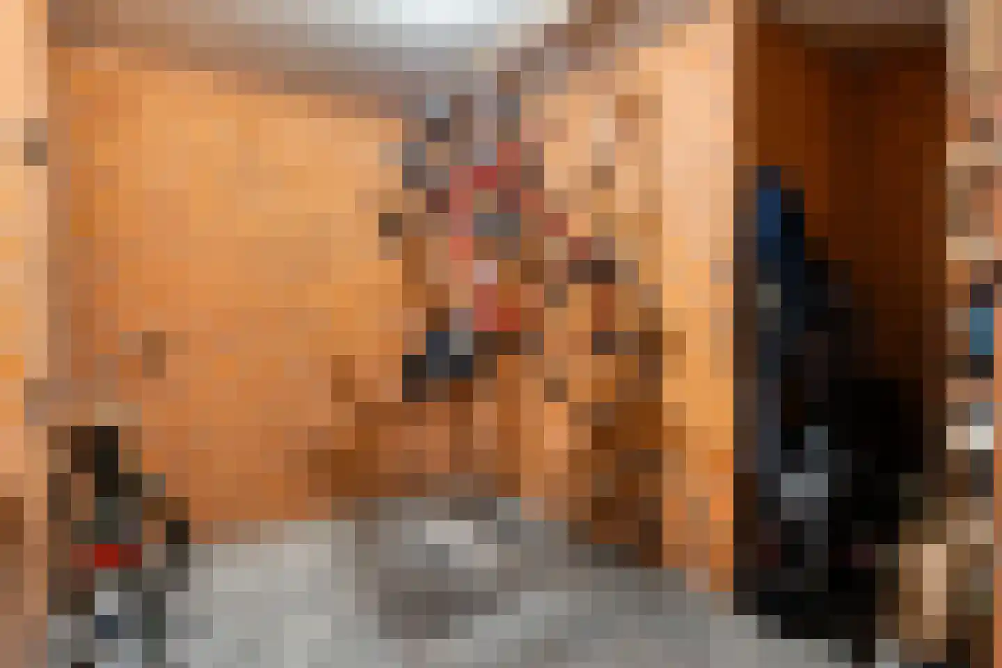 Bellinistraat 55 Alkmaar thumbnail 28