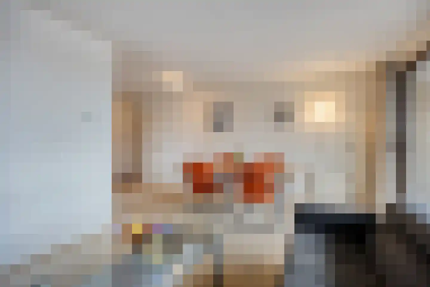 Bellinistraat 55 Alkmaar thumbnail 6