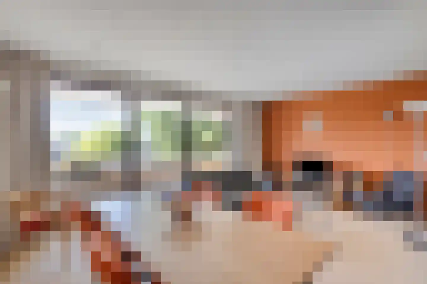 Bellinistraat 55 Alkmaar thumbnail 8