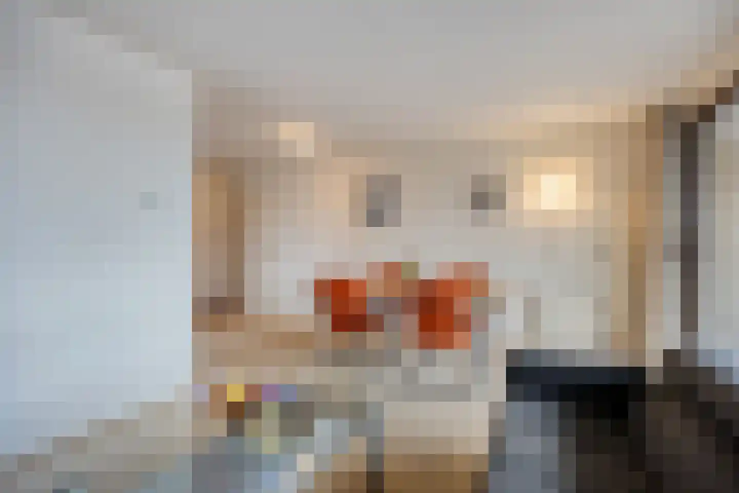 Bellinistraat 55 Alkmaar thumbnail 9
