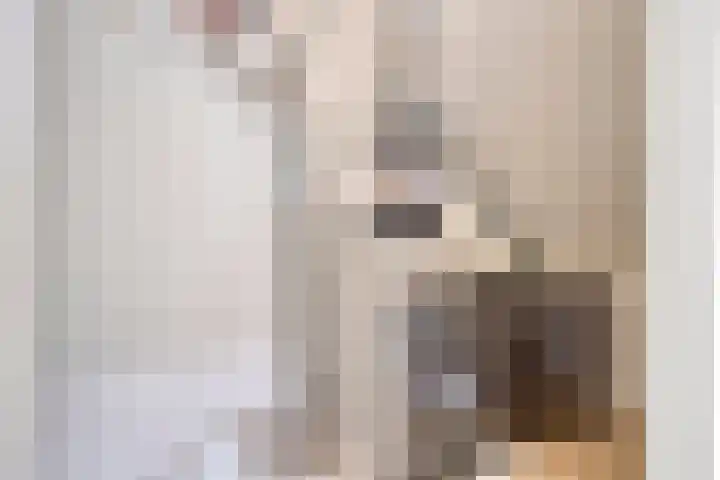 Bellinistraat 58 Tilburg thumbnail 31