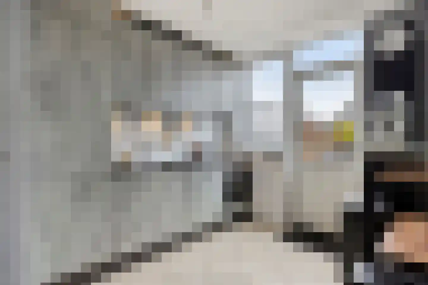 Bellinistraat 68 Heemskerk thumbnail 7