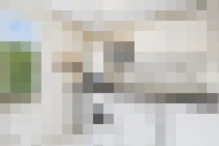 Bellinistraat 7 Hulst thumbnail 13