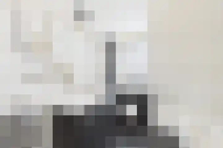 Bellinistraat 7 Hulst thumbnail 18