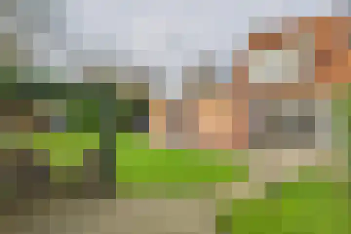 Bellinistraat 7 Hulst thumbnail 27
