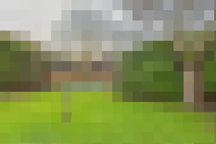 Bellinistraat 7 Hulst thumbnail 28