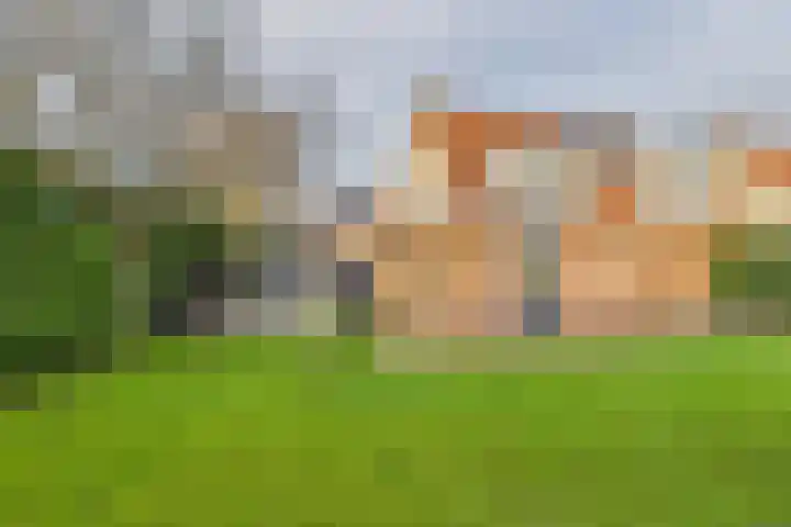Bellinistraat 7 Hulst thumbnail 29