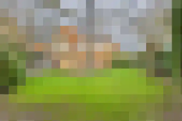 Bellinistraat 7 Hulst thumbnail 30