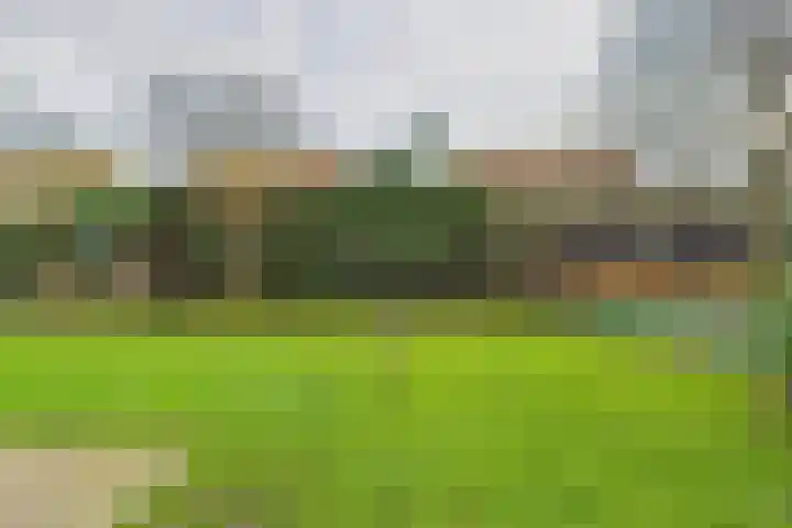 Bellinistraat 7 Hulst thumbnail 31
