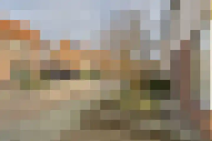 Bellinistraat 7 Hulst thumbnail 32