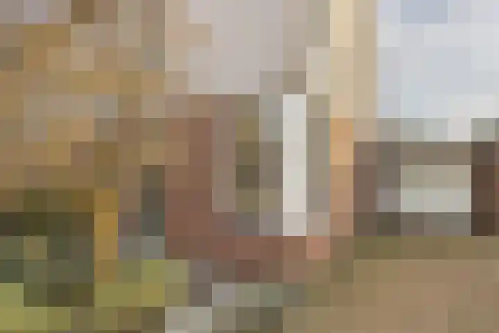 Bellinistraat 7 Hulst thumbnail 33