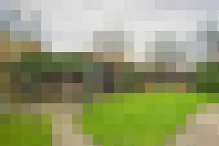 Bellinistraat 7 Hulst thumbnail 4