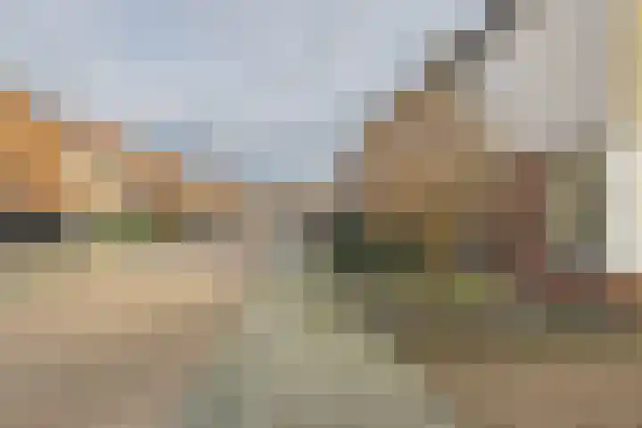 Bellinistraat 7 Hulst thumbnail 5