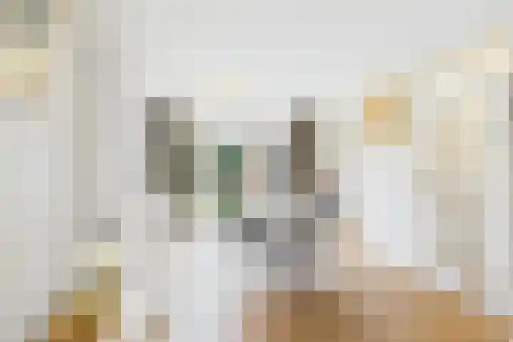 Bellinistraat 7 Hulst thumbnail 9