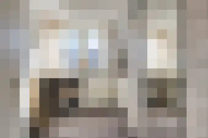 Bellinistraat 70 Tilburg thumbnail 29
