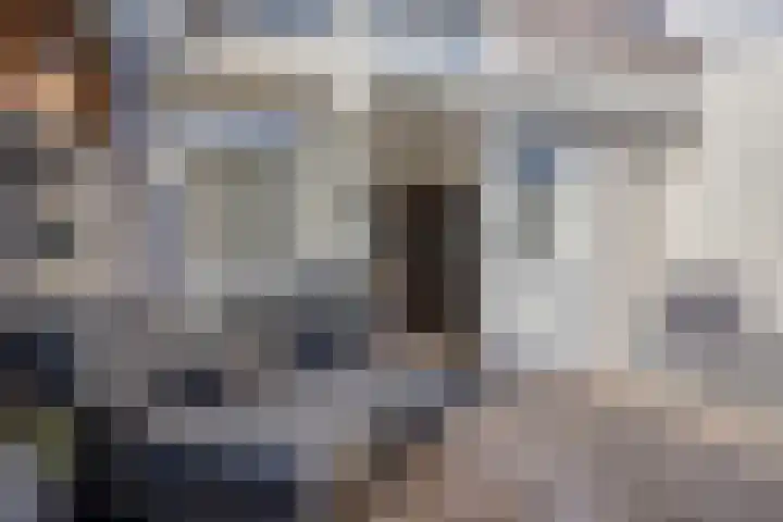 Bellinistraat 70 Tilburg thumbnail 35
