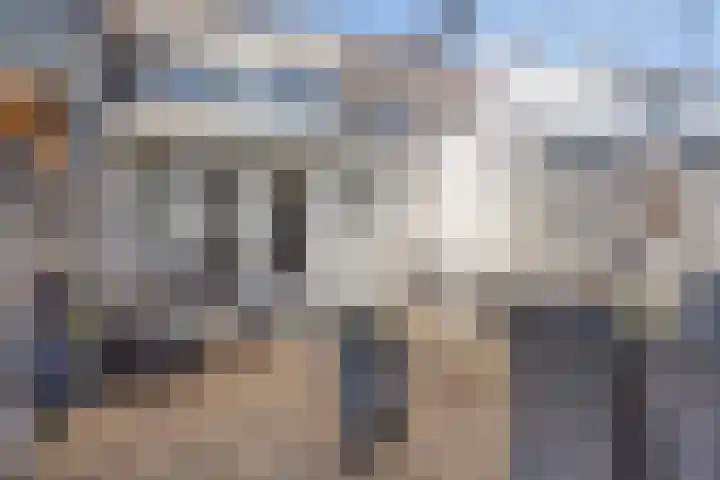 Bellinistraat 70 Tilburg thumbnail 36