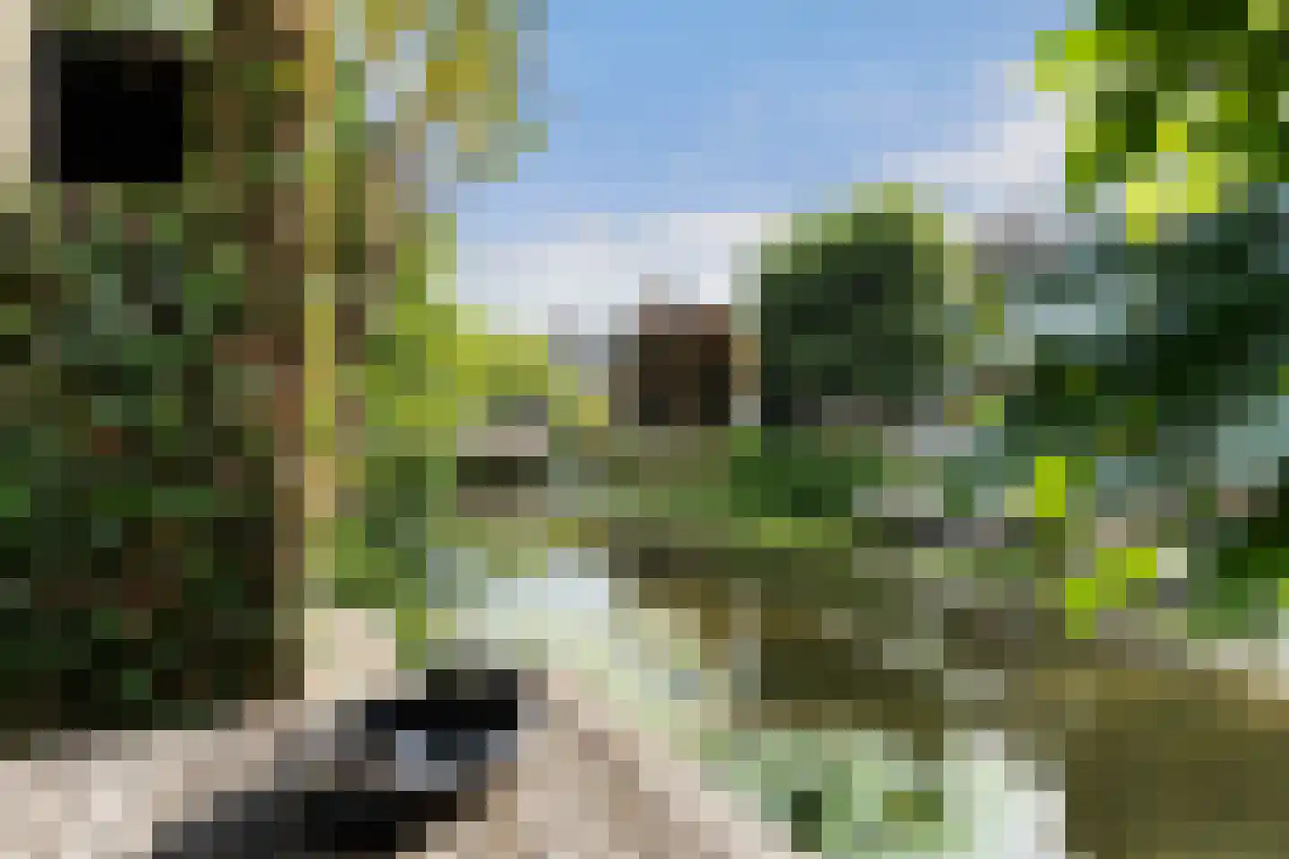 Bellinistraat 80 Capelle aan den IJssel thumbnail 18