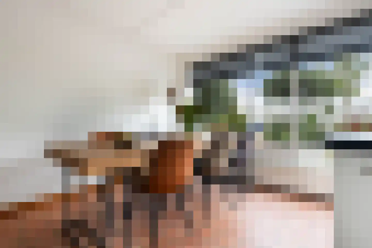 Bellinistraat 80 Capelle aan den IJssel thumbnail 24