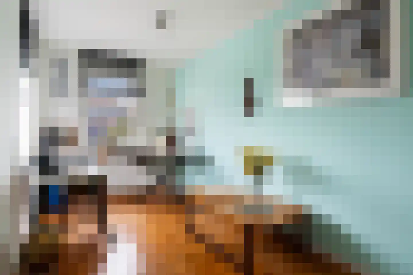 Bellinistraat 80 Capelle aan den IJssel thumbnail 32