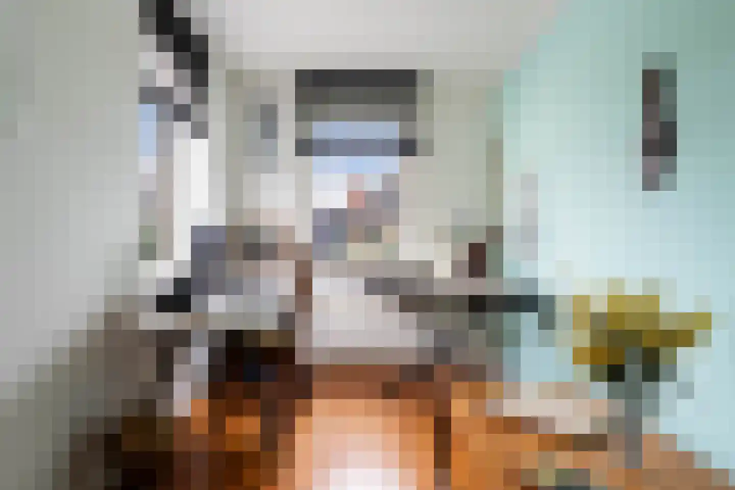 Bellinistraat 80 Capelle aan den IJssel thumbnail 33