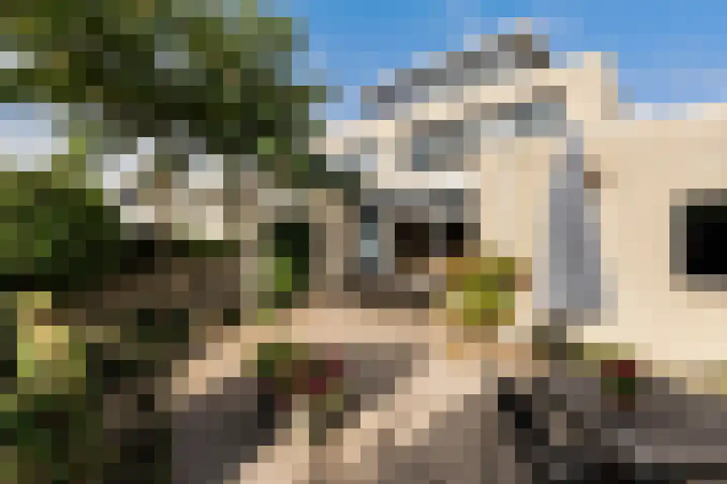 Bellinistraat 80 Capelle aan den IJssel thumbnail 4