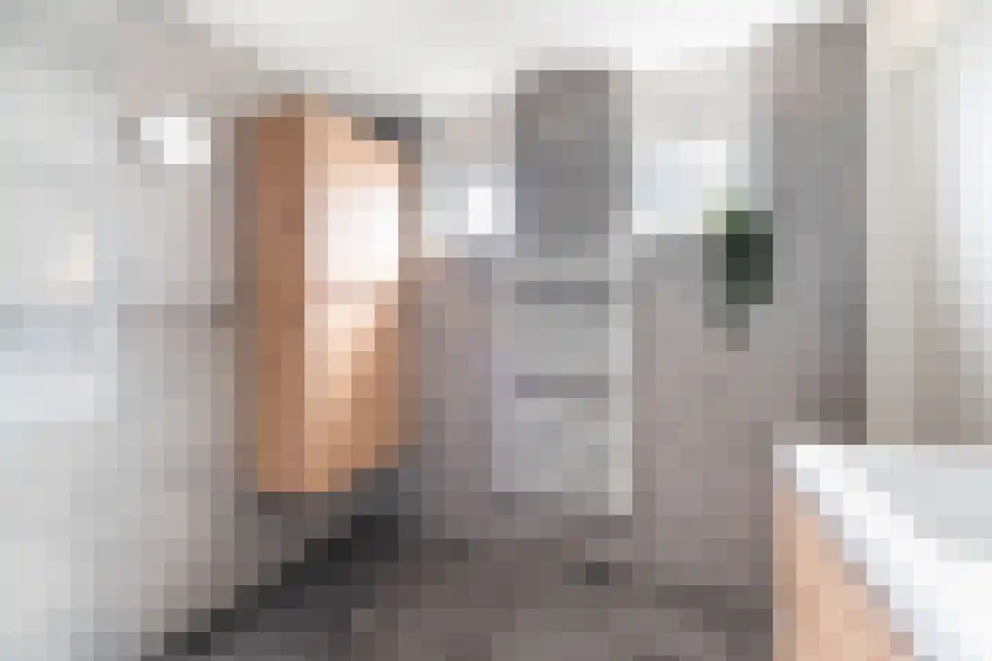 Bellinistraat 80 Capelle aan den IJssel thumbnail 44
