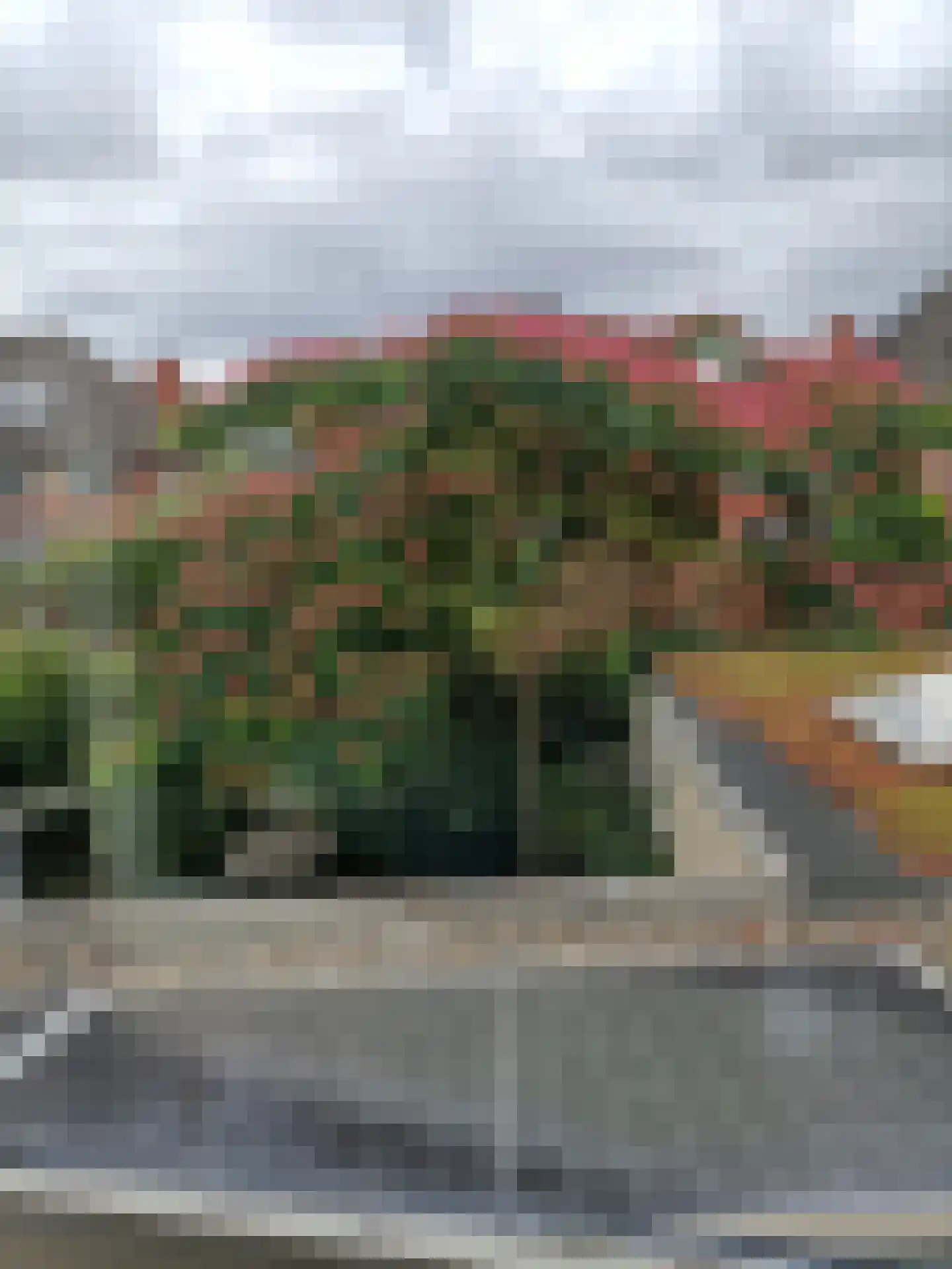 Bellinistraat 80 Capelle aan den IJssel thumbnail 61